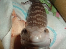 Smile!!!