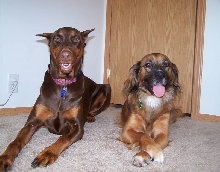 Sasha and Lucky