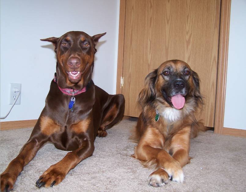 Sasha and Lucky