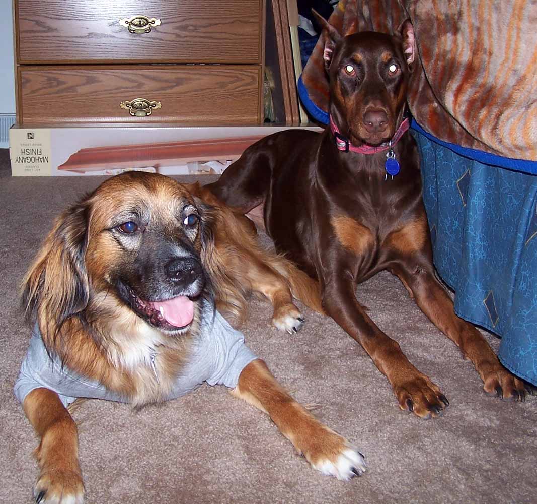 Lucky and Sasha