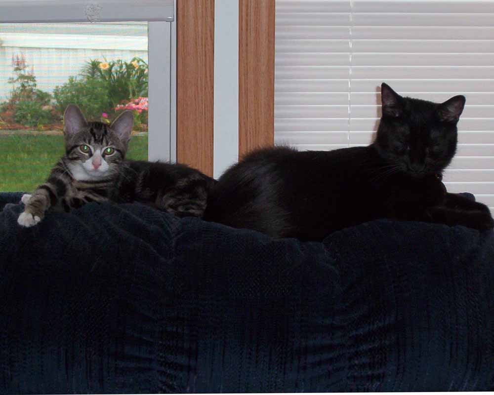 Tidus & Triton
