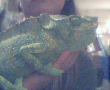 cham1