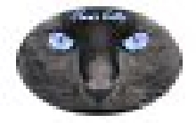 small CK logo