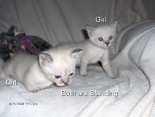 Differences