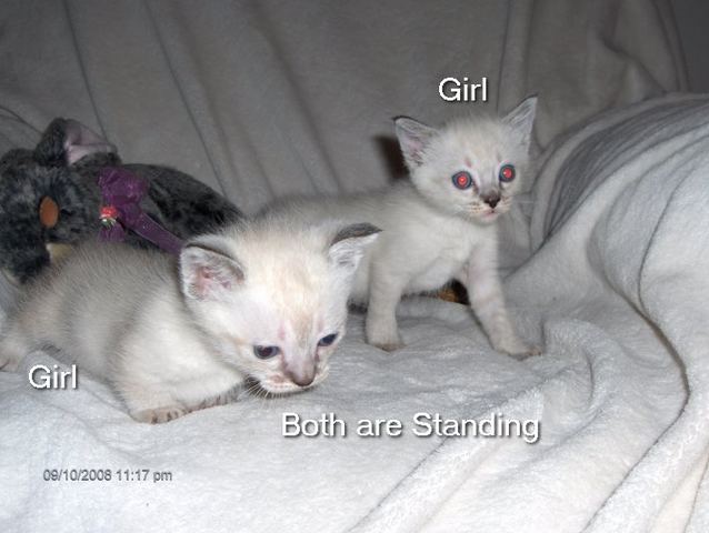 Differences