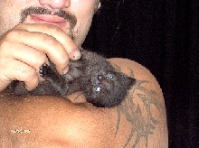 Piginlove