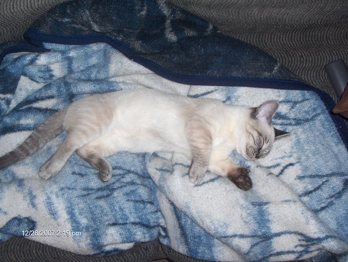 Out Cold