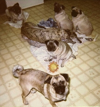 Help! I'm Surrounded!