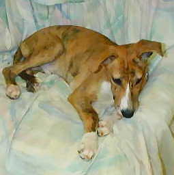 Jigger at 30  pounds