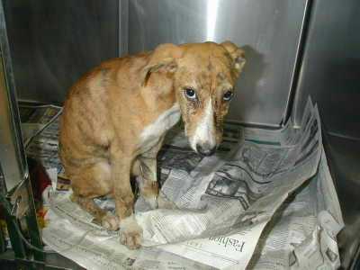 Jigger Update9/17
