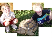 Andrew & Miller with Rapture