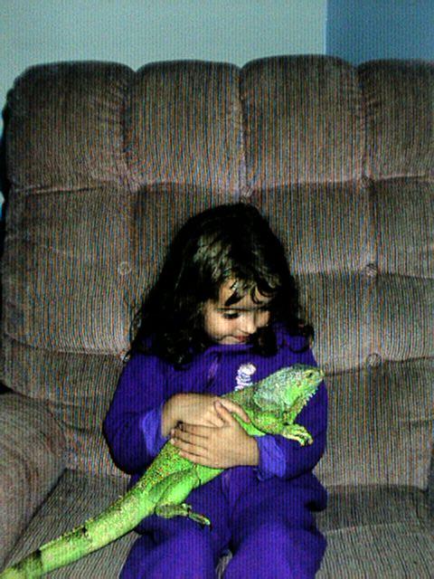 iguana hug
