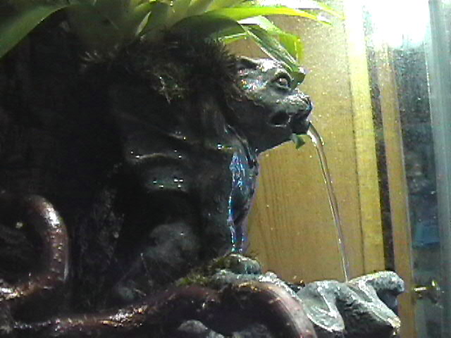 side view of waterfall