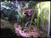 water area with waterfall