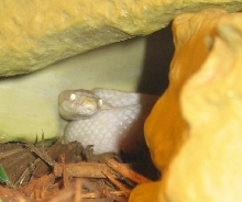 Hide and seek
