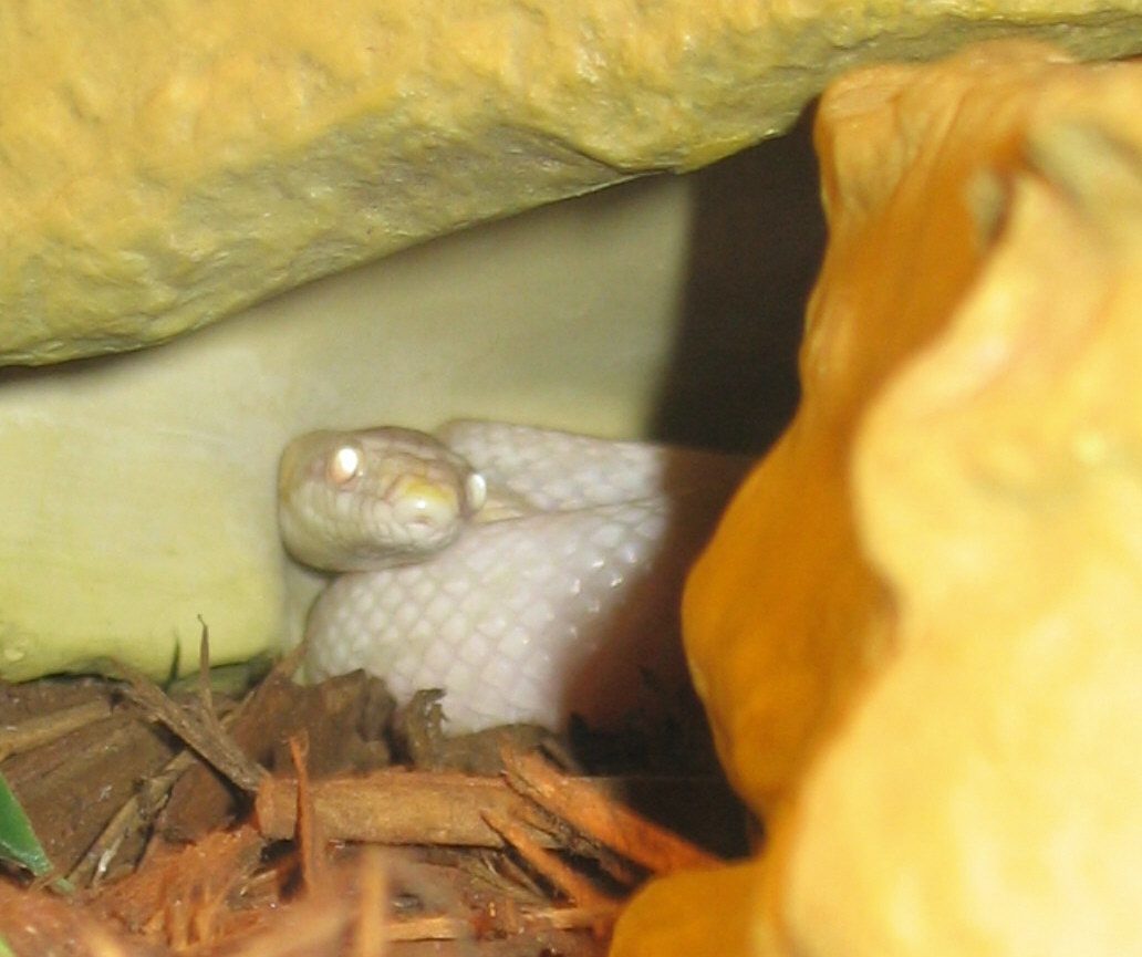 Hide and seek