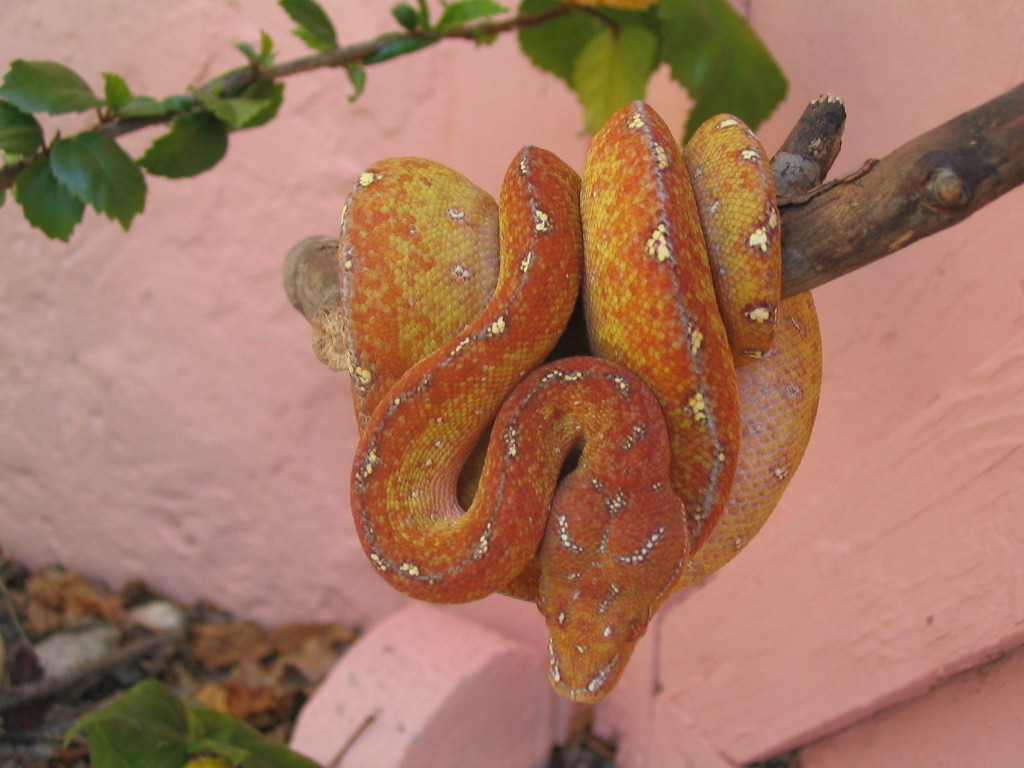 My Precious outside