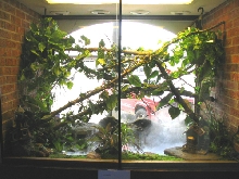 show terrarium