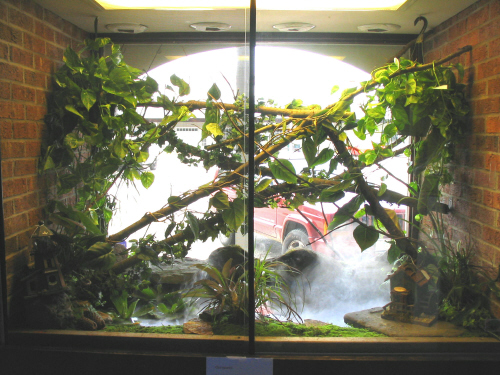 show terrarium