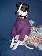 halloween diva