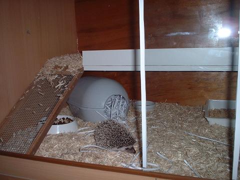 truffle in his new home