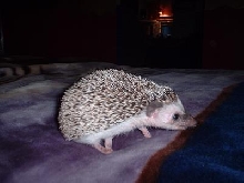 ahhh baby