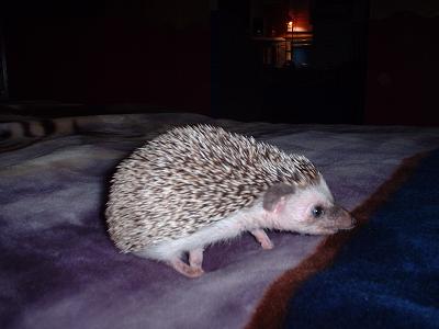 ahhh baby