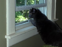 K So my butt iz big. Wanna Make sumfing of it?