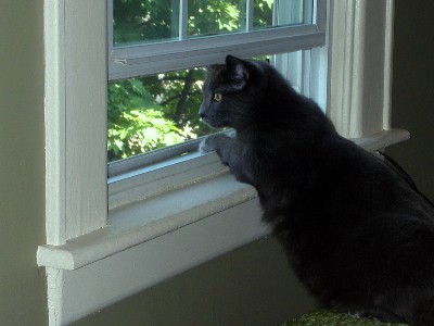 K So my butt iz big. Wanna Make sumfing of it?
