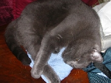 I confiskated mommys jeans