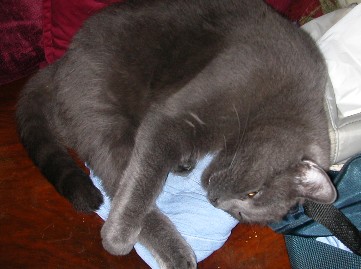 I confiskated mommys jeans