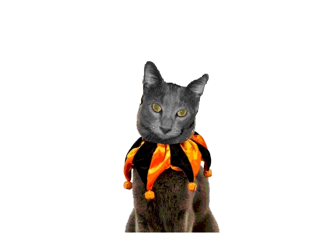 I redy fer halloweenie