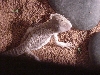 Birds eye view