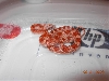 Hypo Pied Bloodred #8