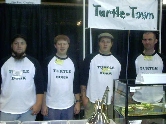 turtle dorks