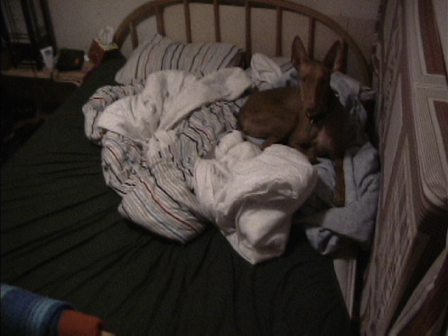 Bed after PH