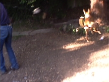 Emma catches air time