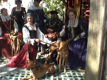 The Royal Pharaoh Hounds
