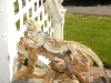 HannyOutside
