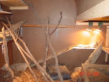 Ruger Cage Front View