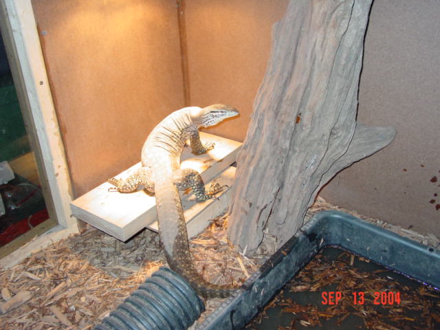 Basking Corner
