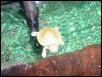 Sittin' on My Log