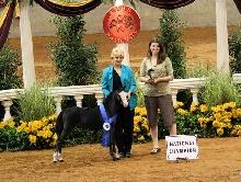 Rhapsody's Majectic Reign Championship picture