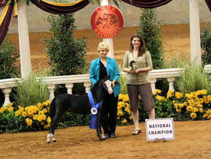 Rhapsody's Majectic Reign Championship picture