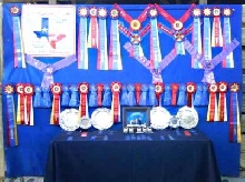 San Antonio Show Results