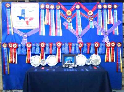 San Antonio Show Results