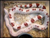 Albino Southern Pine