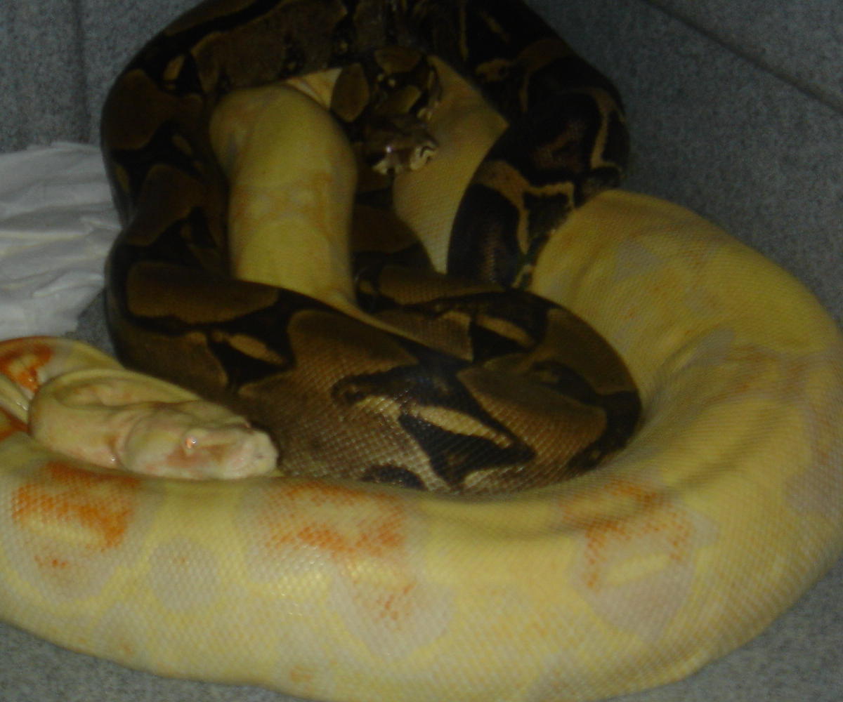 Breeding