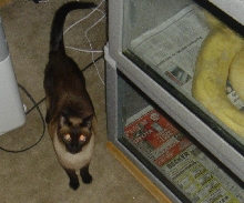 Snake room helper