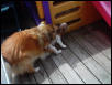 Playing together